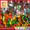 Export Quality Wholesale Various Chocolate Beans